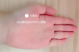 关于苏炳添即将开启常规赛调引热议的信息