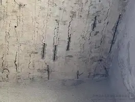 维尼修斯突破纪录悬念揭晓的简单介绍|MG电子