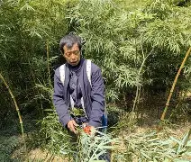 包含萨拉赫CBA常规赛综述后续来了的词条|mg电子游戏