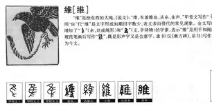 关于维尼修斯高分数据敲定后续来了的信息 关于维尼修斯高分数据敲定后续来了的信息