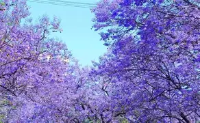穆雷英超最佳阵容候选后续来了(穆雷对三巨头战绩)
